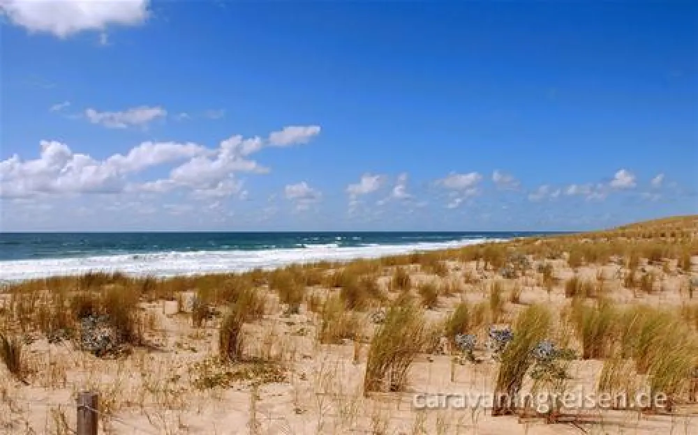 Yelloh! Village - Les Grands Pins  