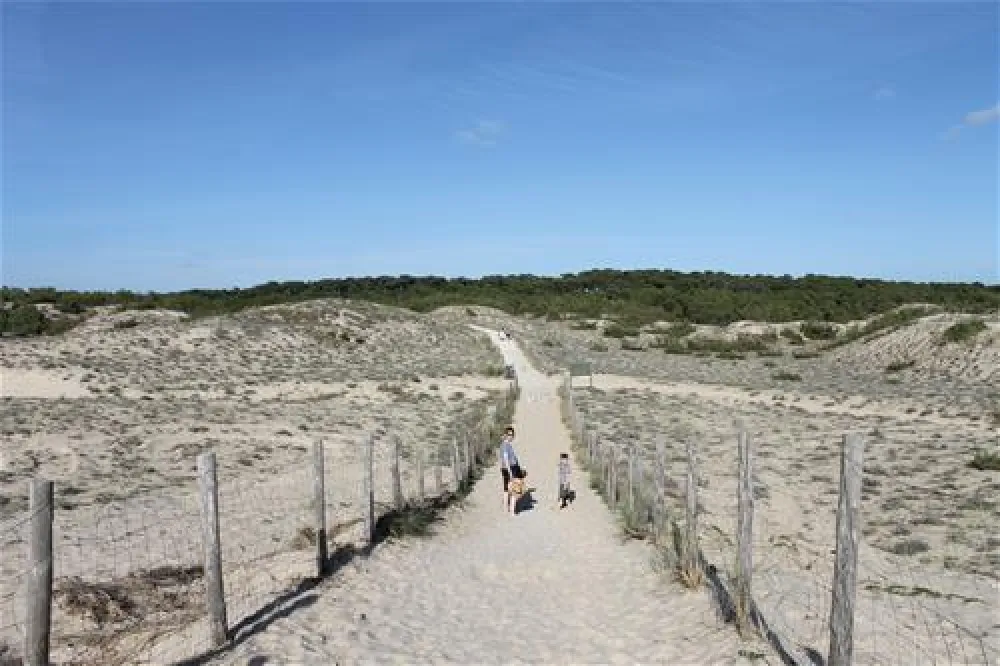 Yelloh! Village - Les Grands Pins  