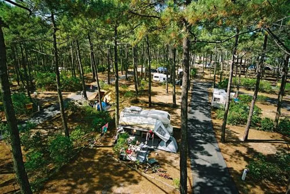 Yelloh! Village - Les Grands Pins  