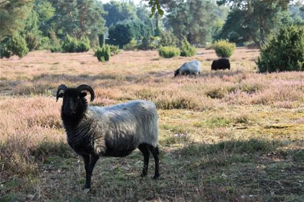 Campingpark Haddorfer Seen