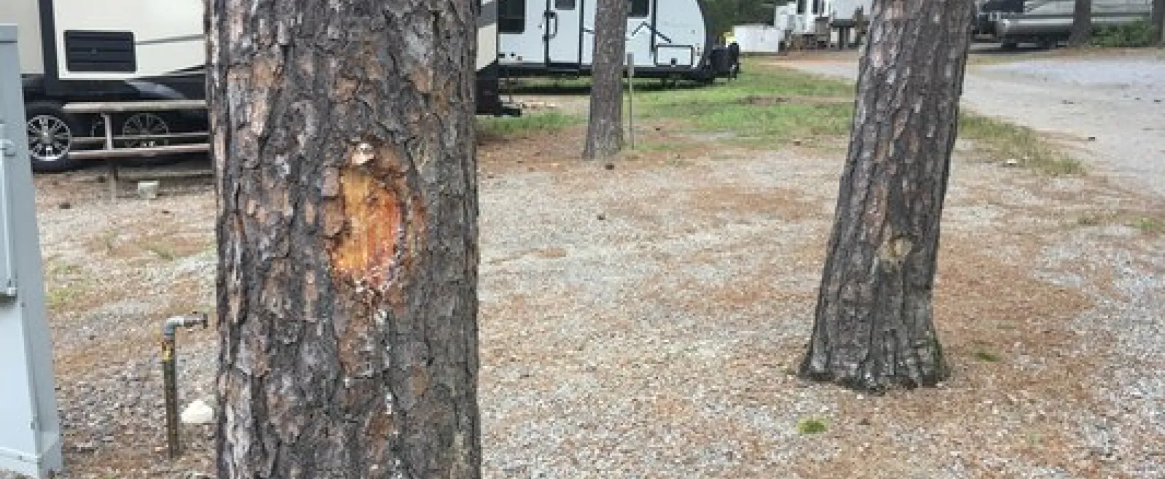 Christopher Run Campground