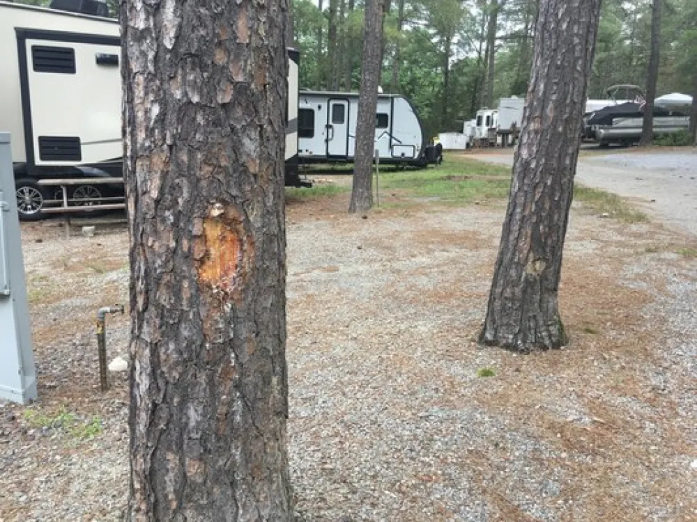 Christopher Run Campground