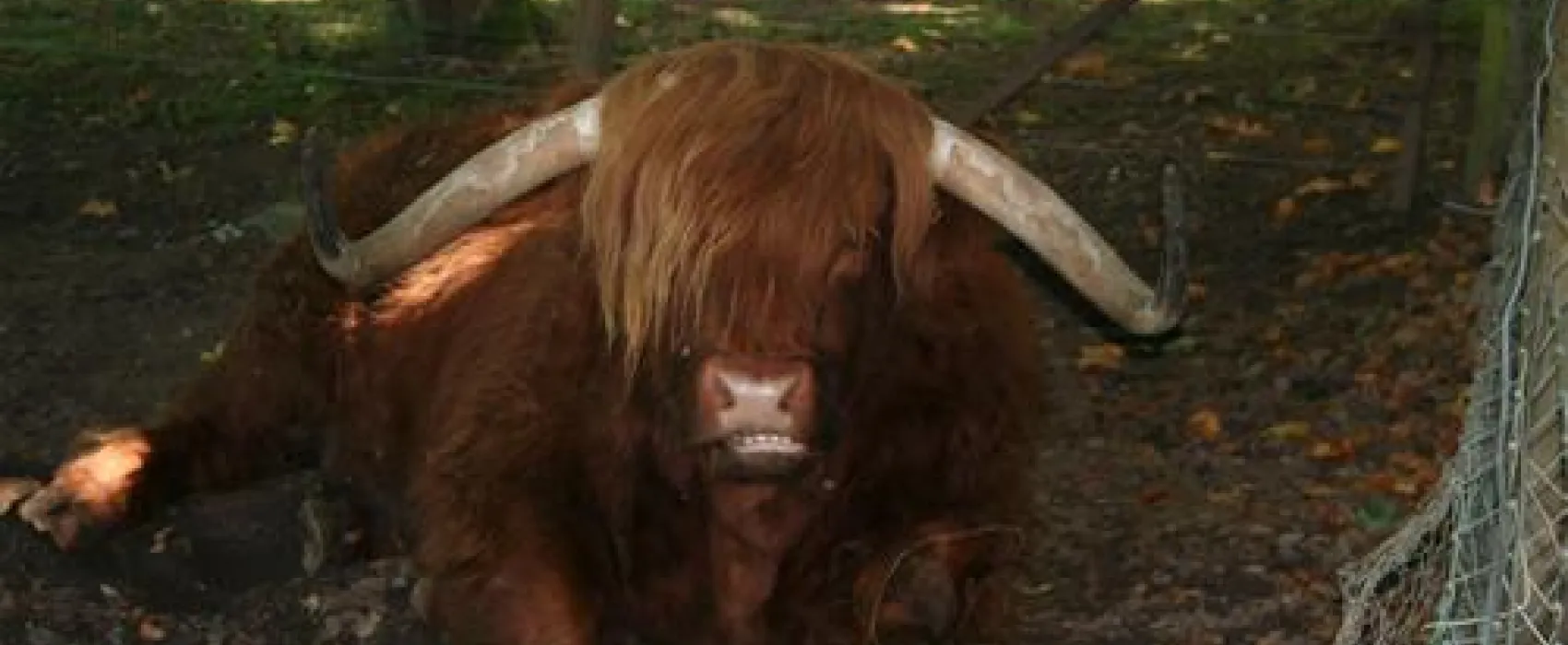 Blair Castle Caravan Park