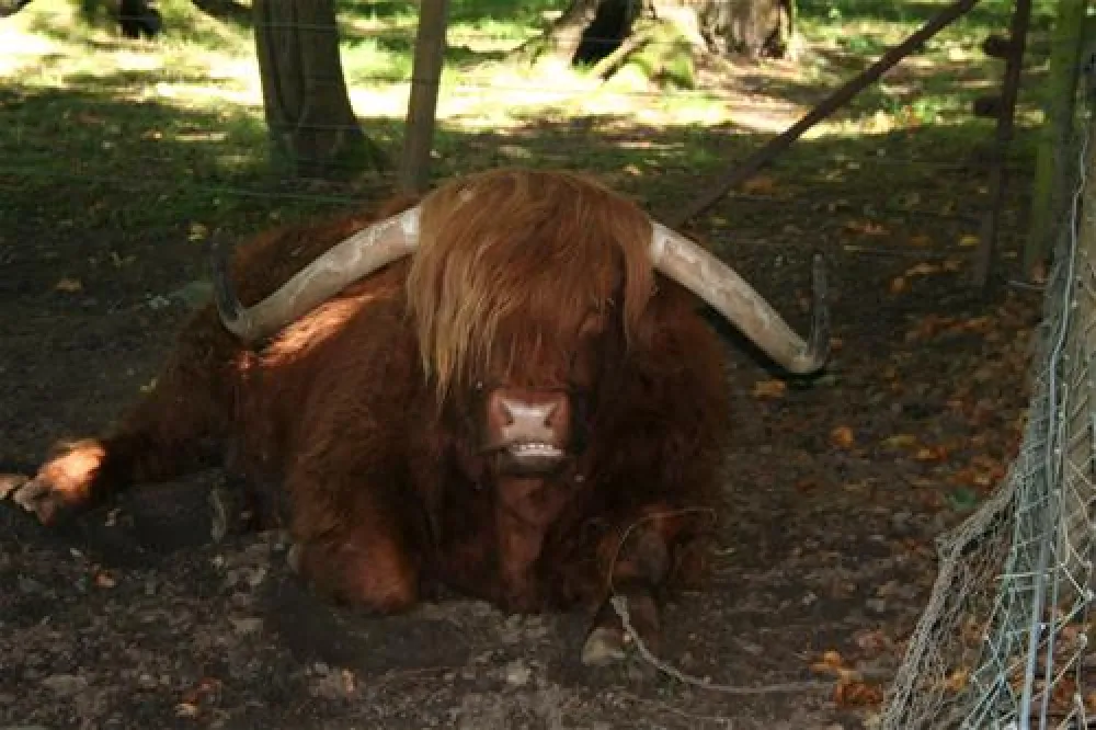 Blair Castle Caravan Park