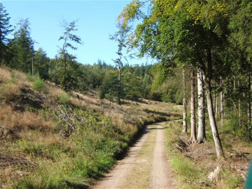 Camping Velling Koller