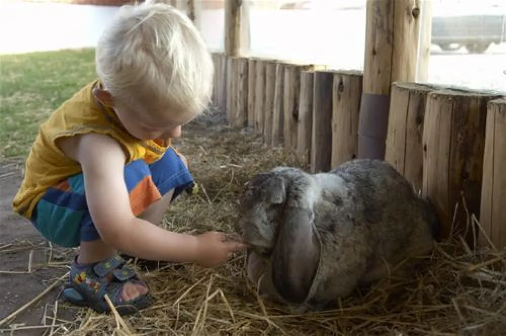 Camping Velling Koller