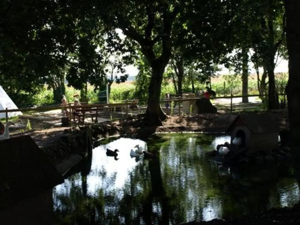 Camping Velling Koller