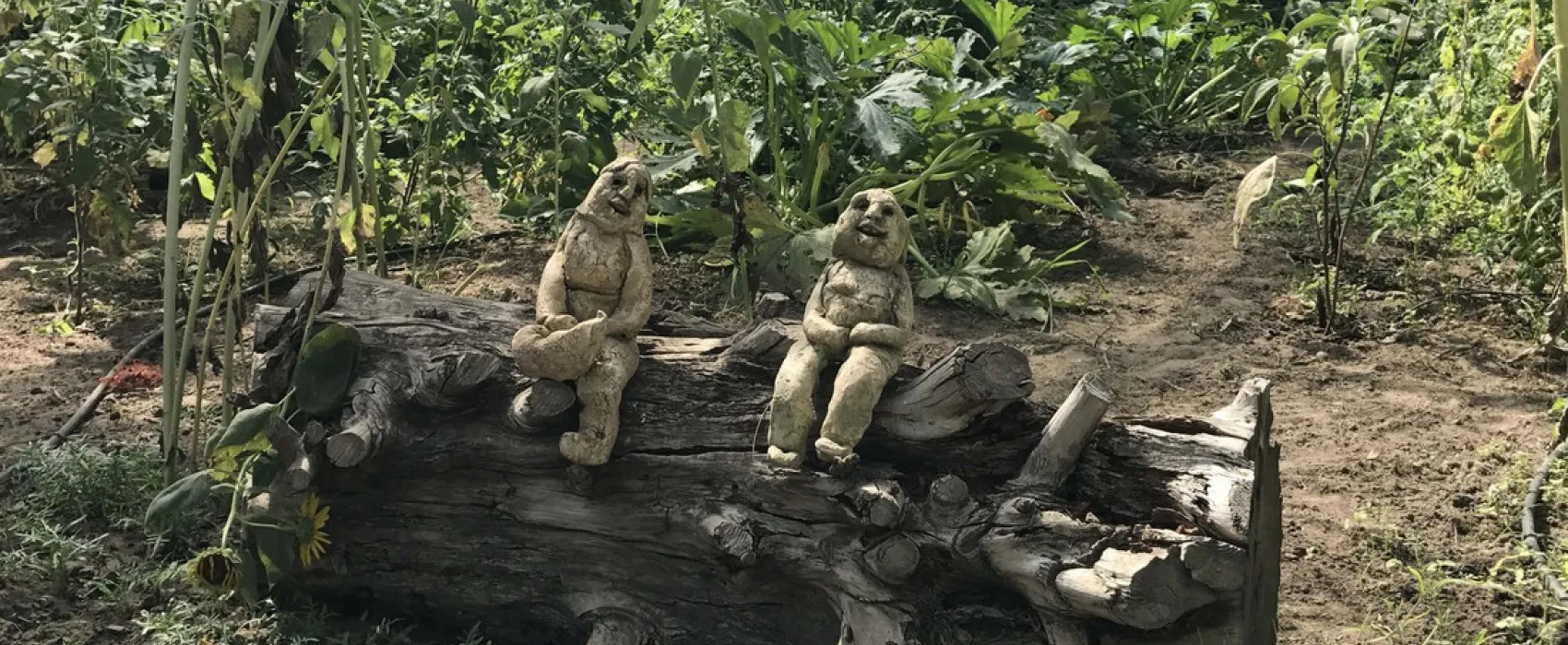 Vakantieverblijf de Rozenhorst