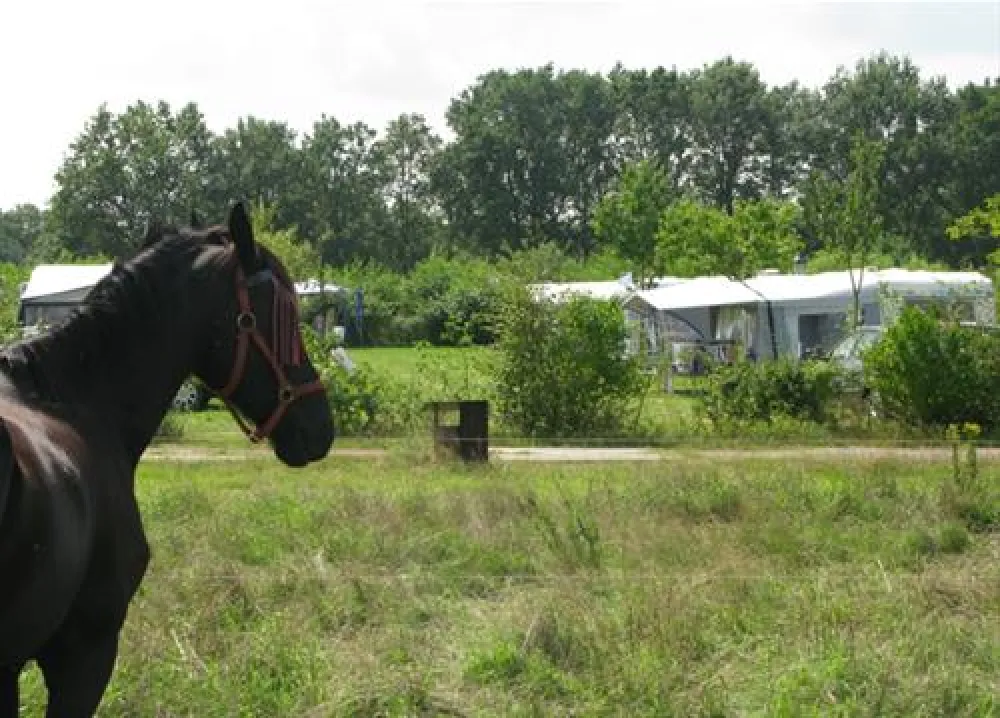 Vakantieverblijf de Rozenhorst