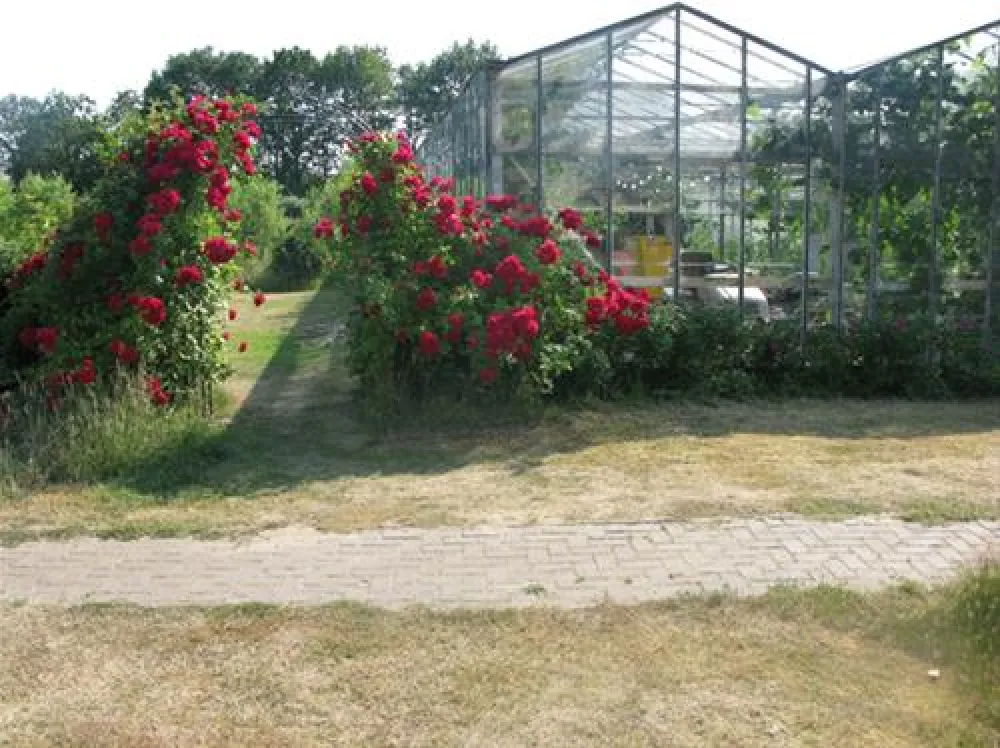 Vakantieverblijf de Rozenhorst