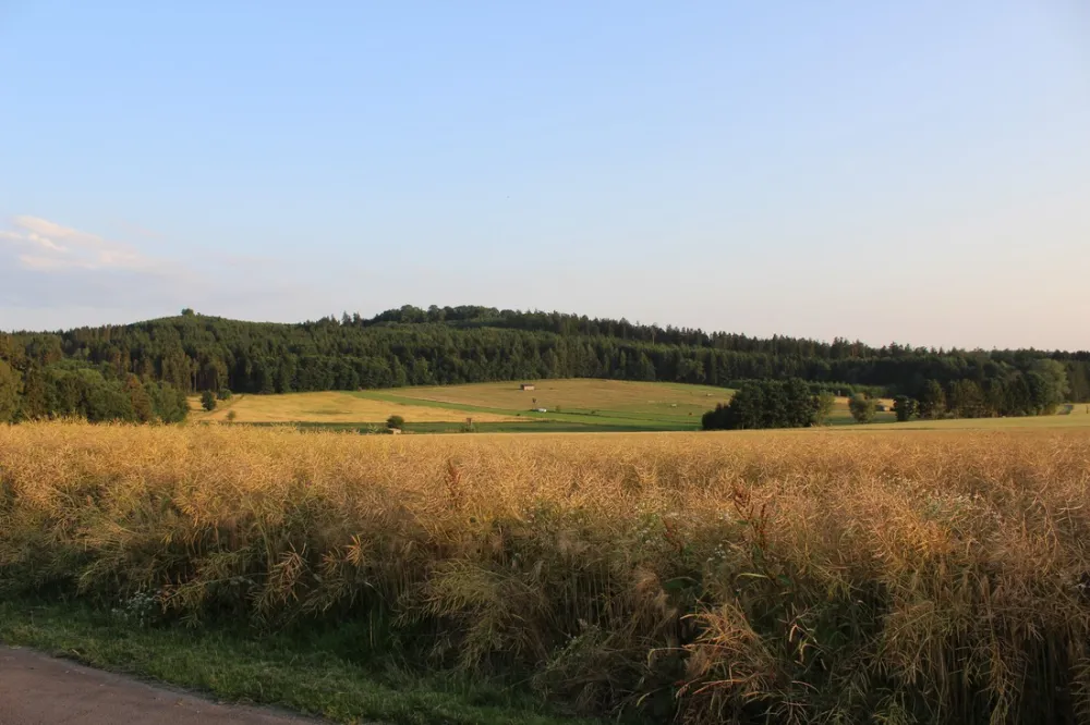 Ferienanlage Erzeberg (Bad Emstal / bei Kassel)