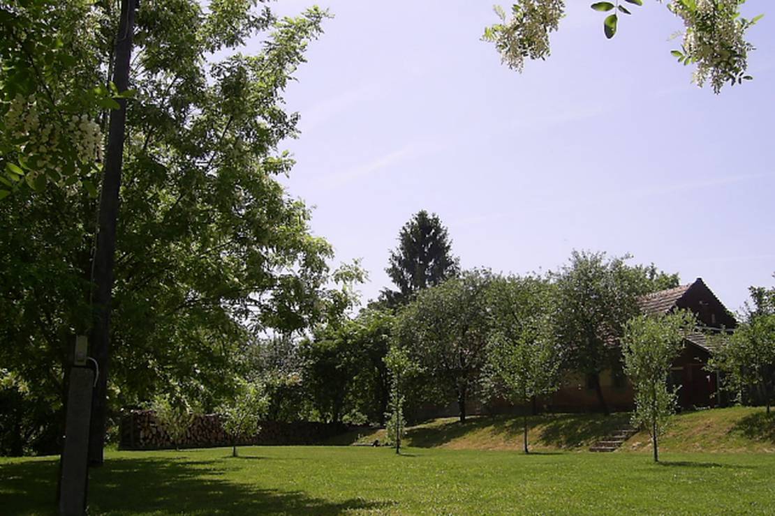 Naturferienranch photo 3