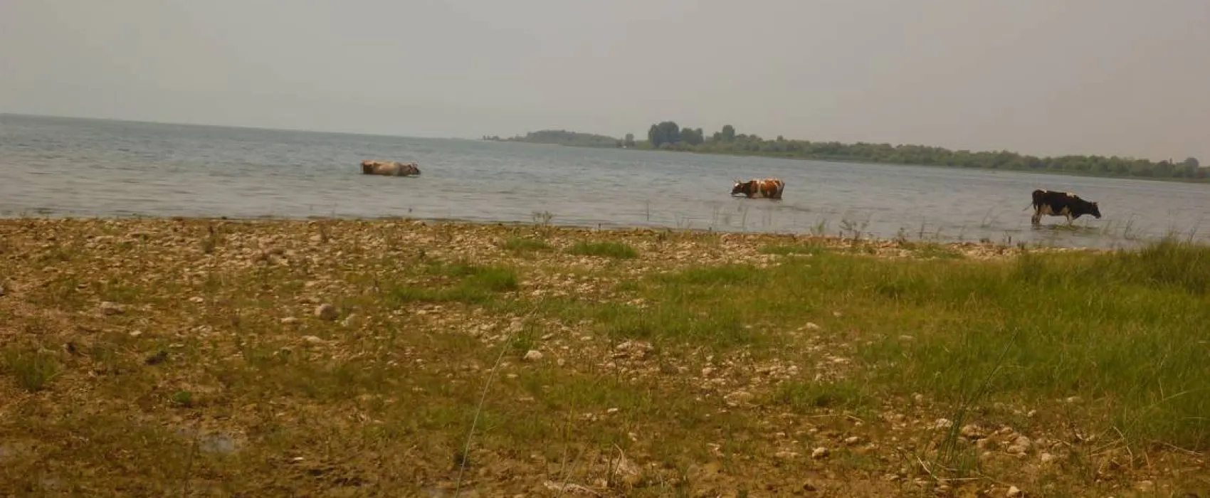 Camping Lake Shkodra Resort, Albania