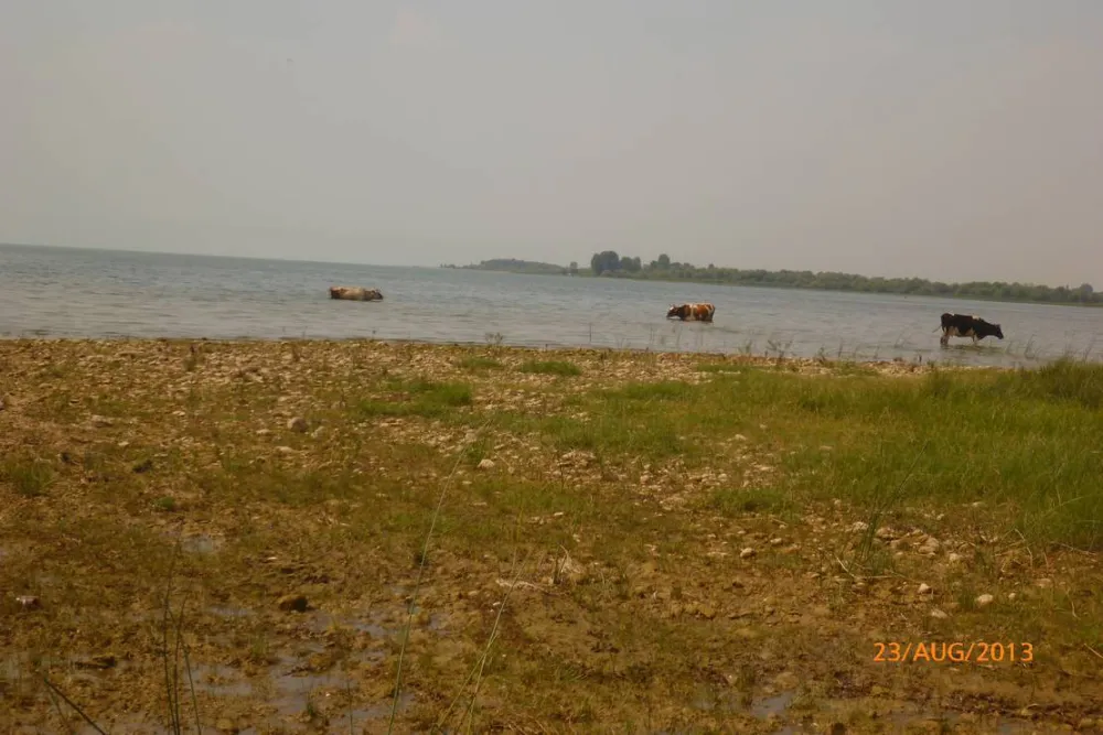 Camping Lake Shkodra Resort, Albania