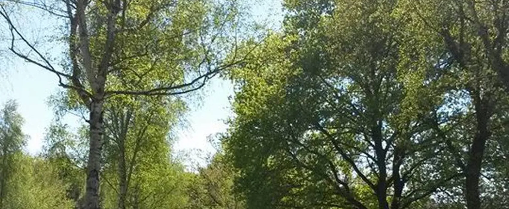 Camping de la reuille