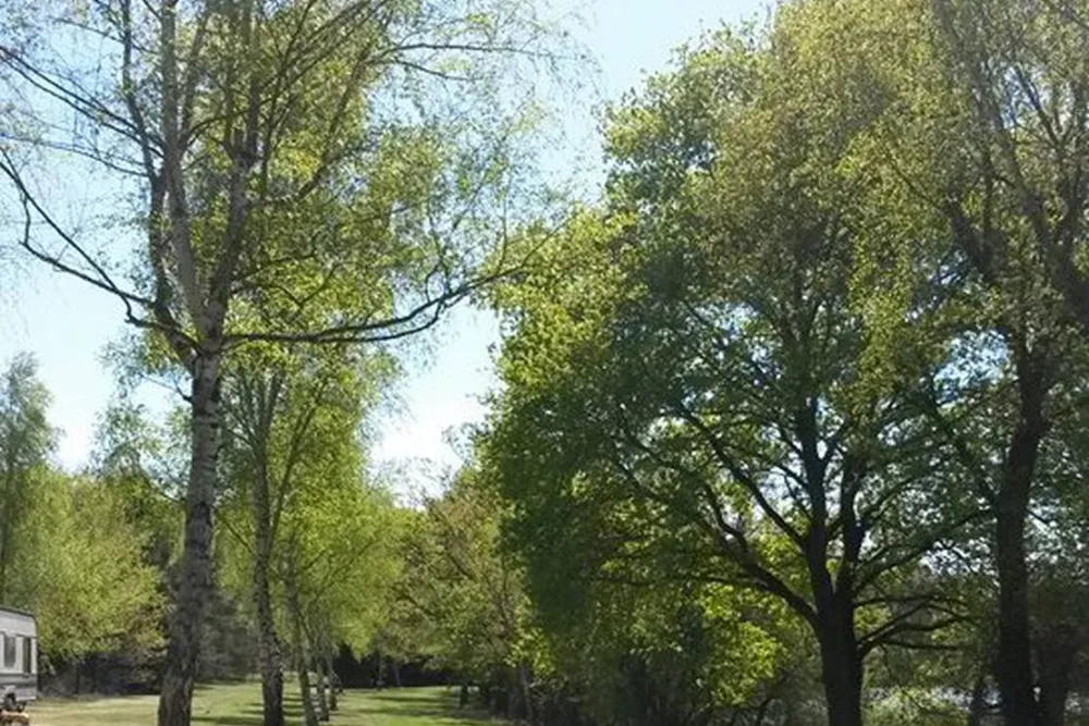 Camping de la reuille