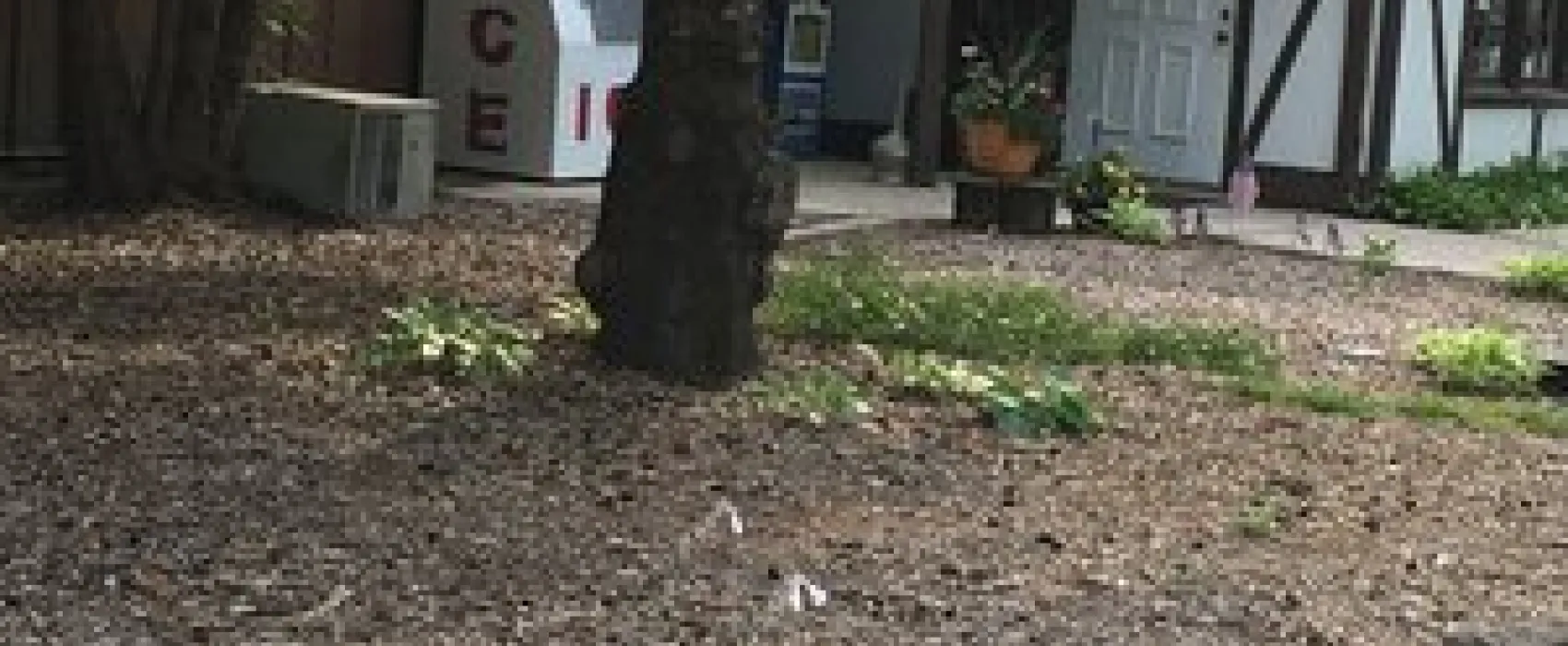 Fish Creek Campground