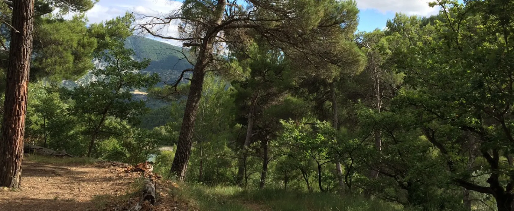 Les Etangs de la Gippiere