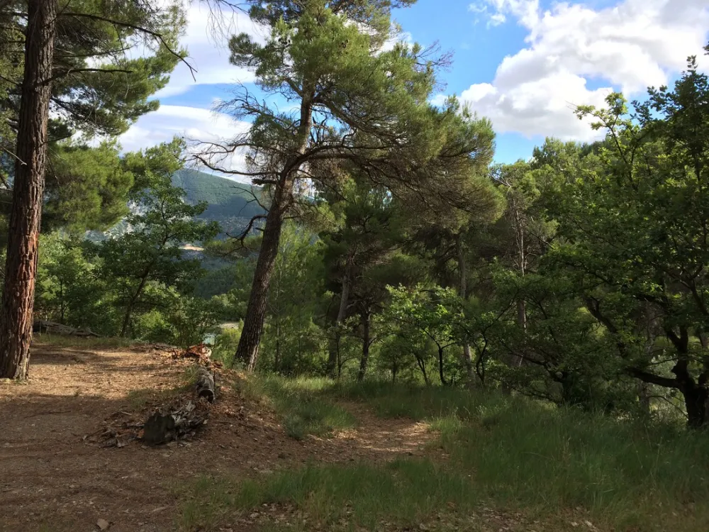 Les Etangs de la Gippiere