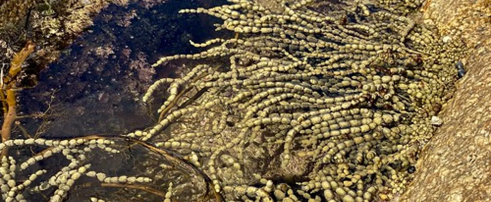 Friendly Beaches Campground