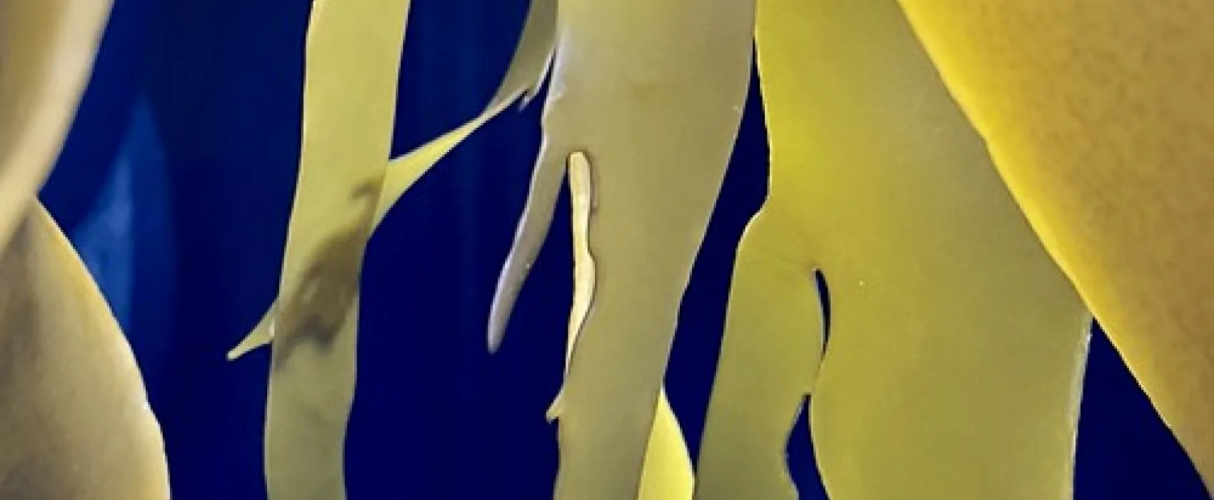 Friendly Beaches Campground