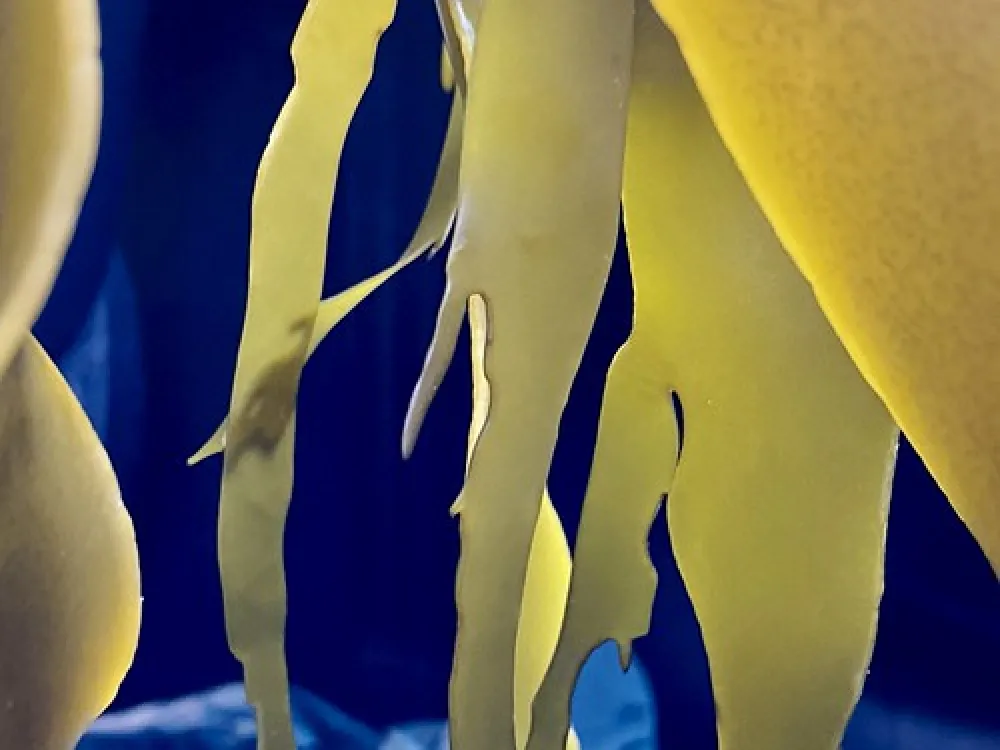 Friendly Beaches Campground