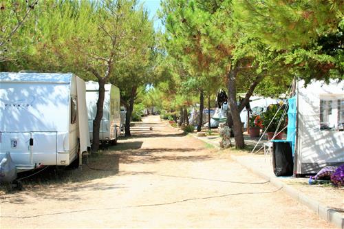 Camp Bakija photo 2