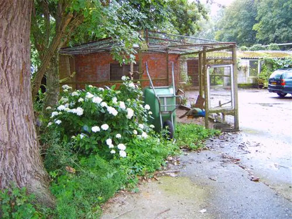 Camping Wildemansheerd