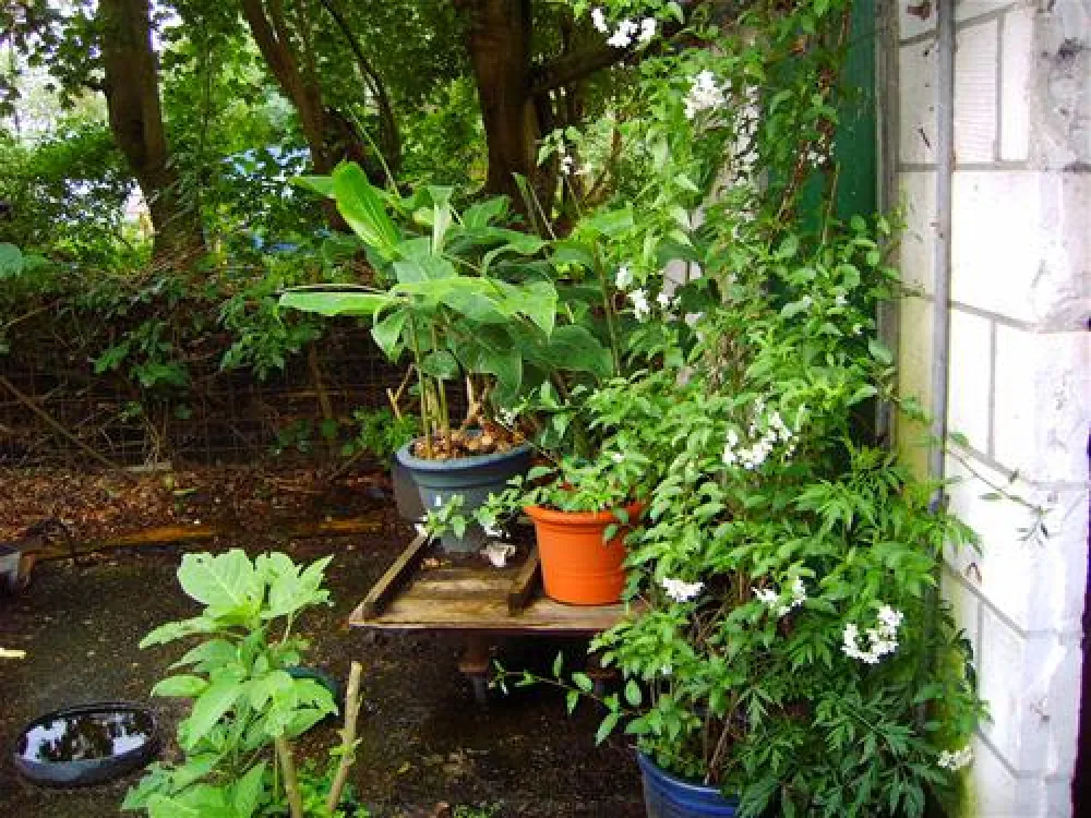 Camping Wildemansheerd