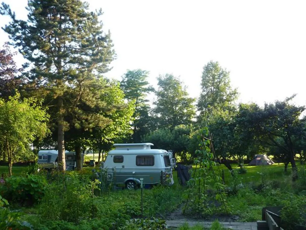 Camping Wildemansheerd