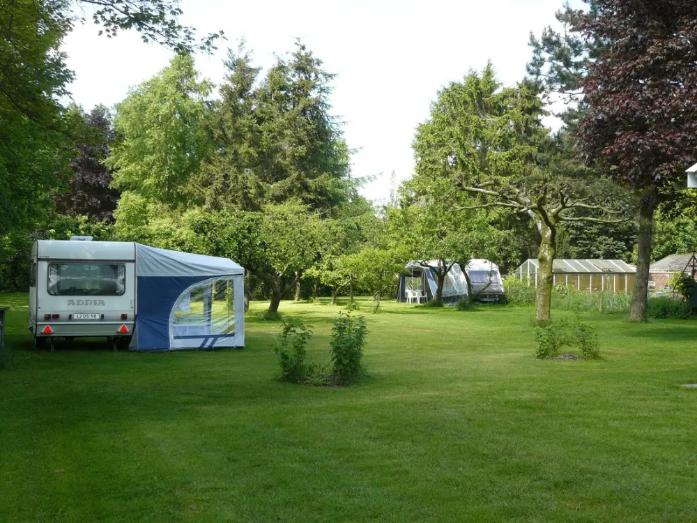 Camping Wildemansheerd