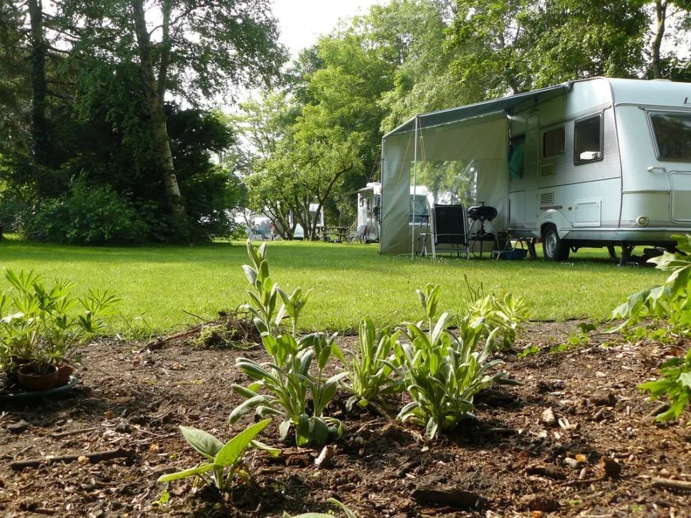 Camping Wildemansheerd