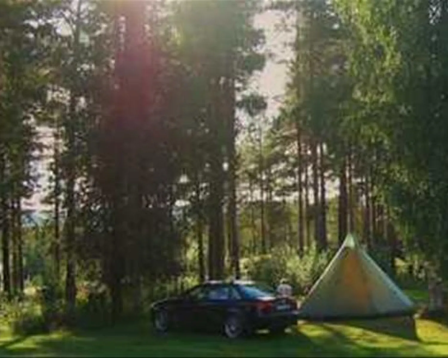 Skabram Stugby & Camping in Sweden - Spottocamp - Spottocamp