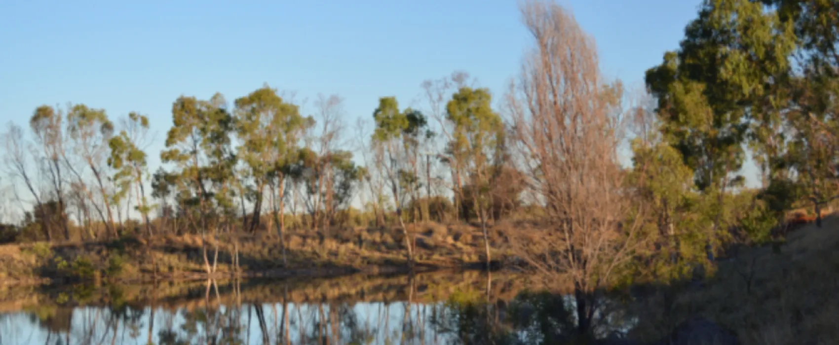 Wycliffe Well Holiday Park