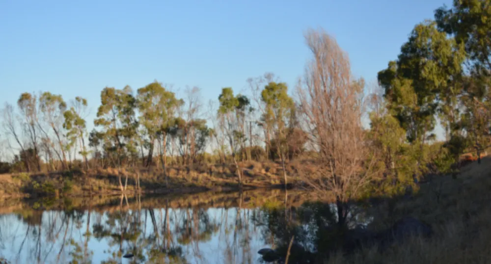 Wycliffe Well Holiday Park