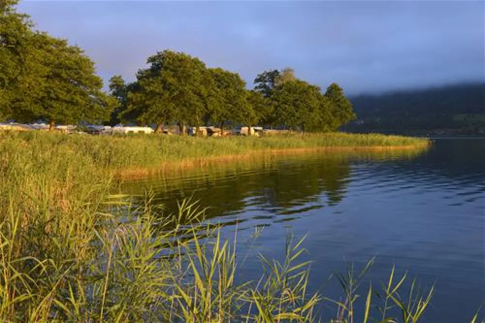 Seecamping Berghof