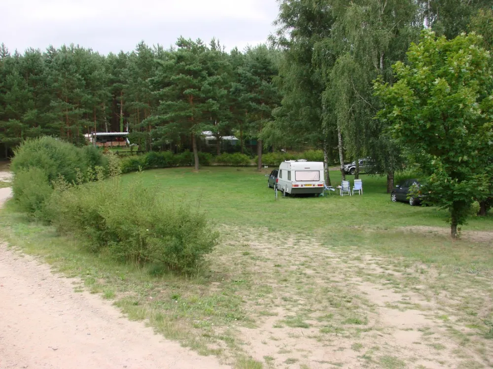 Camping Waldsee