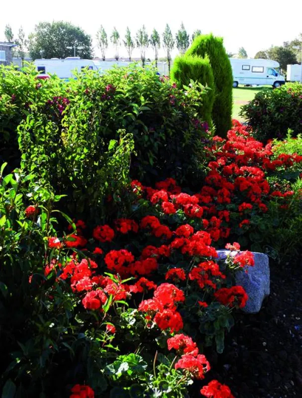 Manor Park Holiday Park