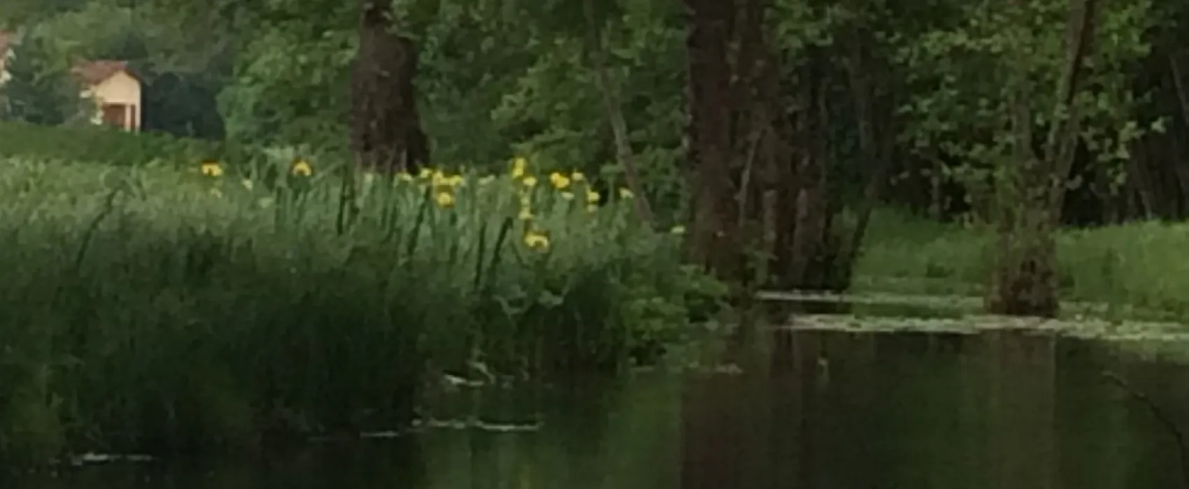 Flower Camping Domaine du Buisson