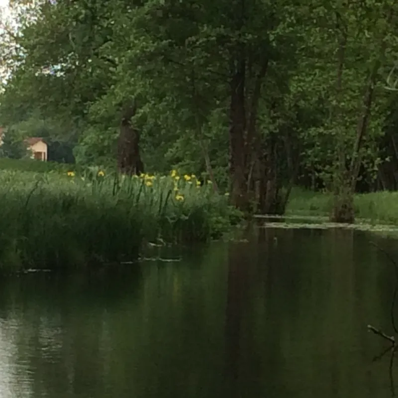 Flower Camping Domaine du Buisson