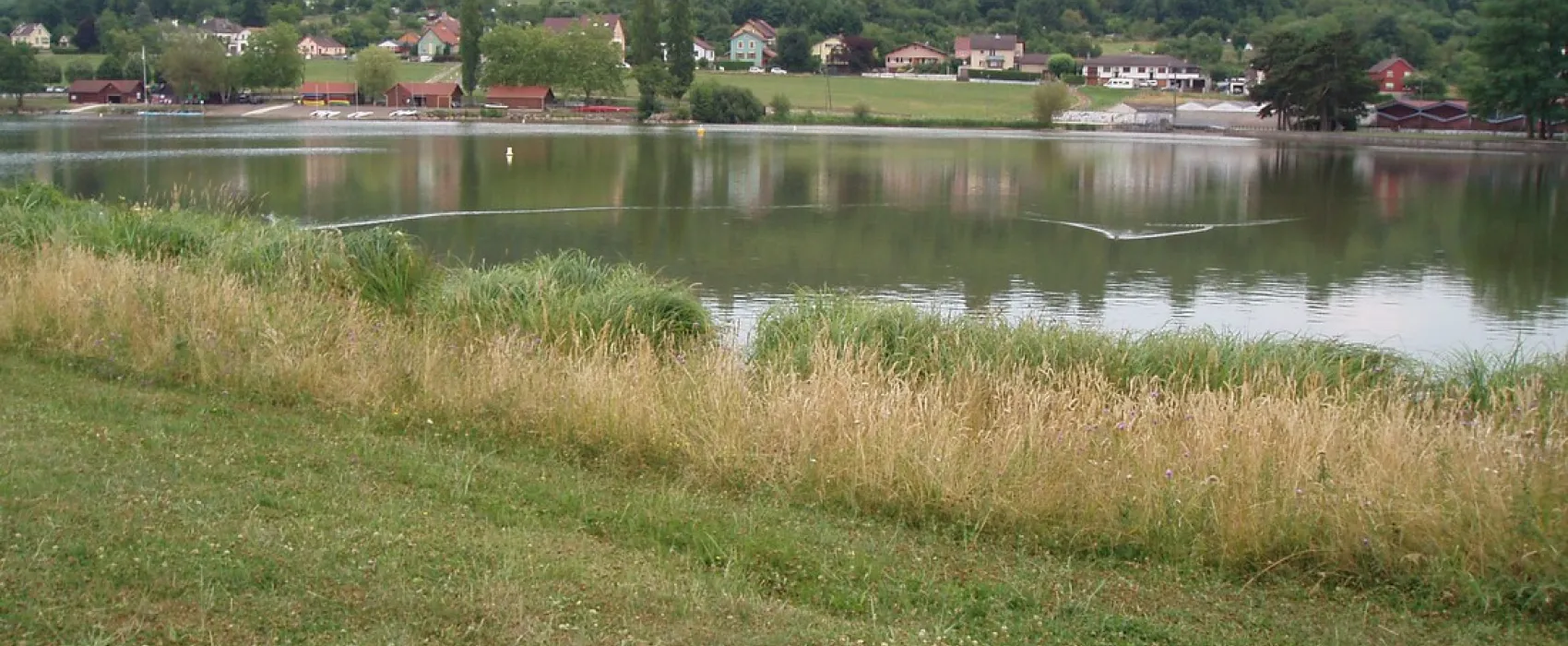 L'Etang des Forges