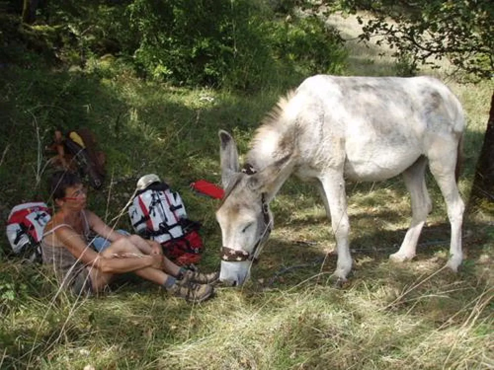 Camping les Cadichons