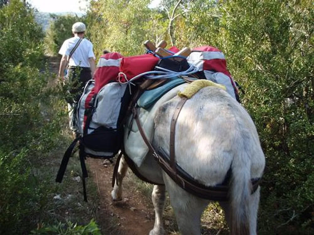 Camping les Cadichons