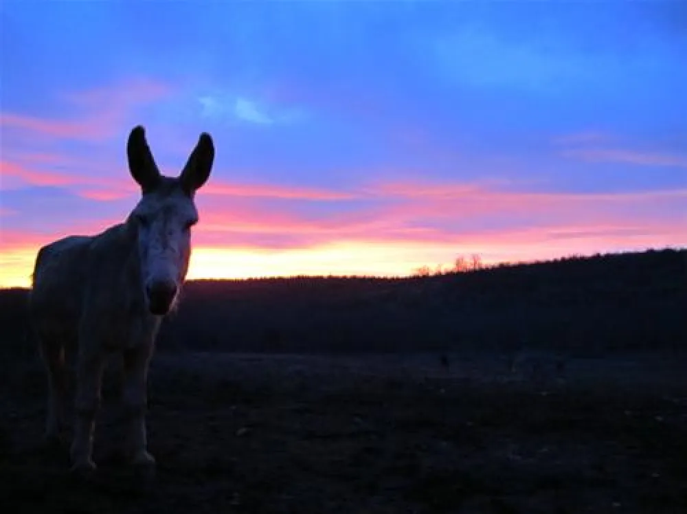 Camping les Cadichons