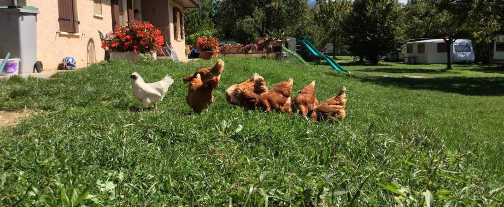 Camping aire naturelle Le Meyrieux