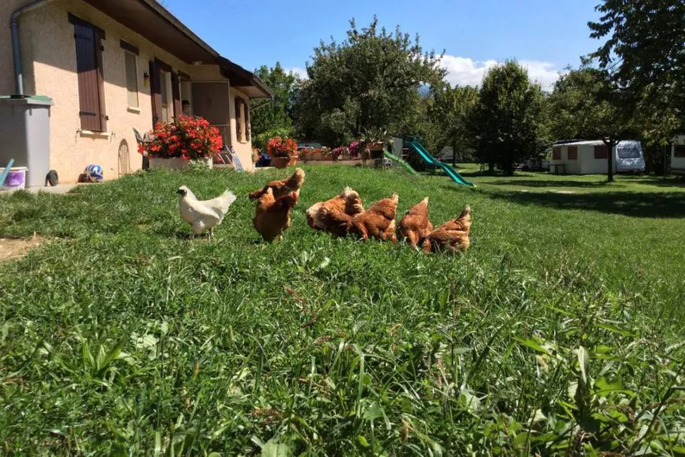 Camping aire naturelle Le Meyrieux