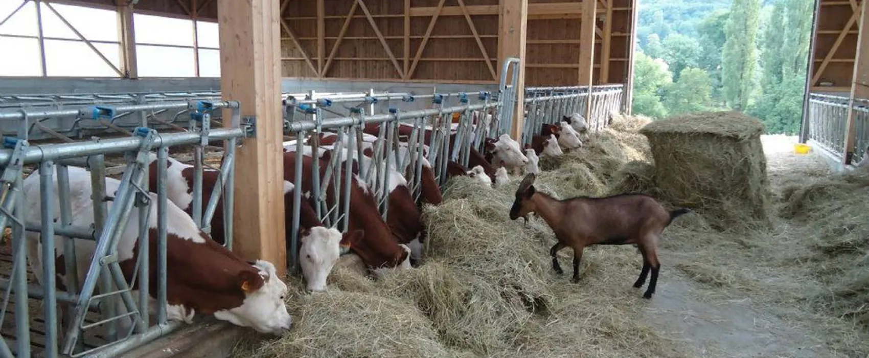 Camping aire naturelle Le Meyrieux