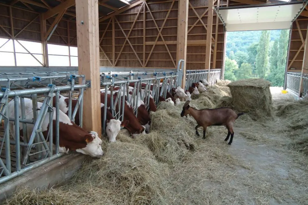 Camping aire naturelle Le Meyrieux