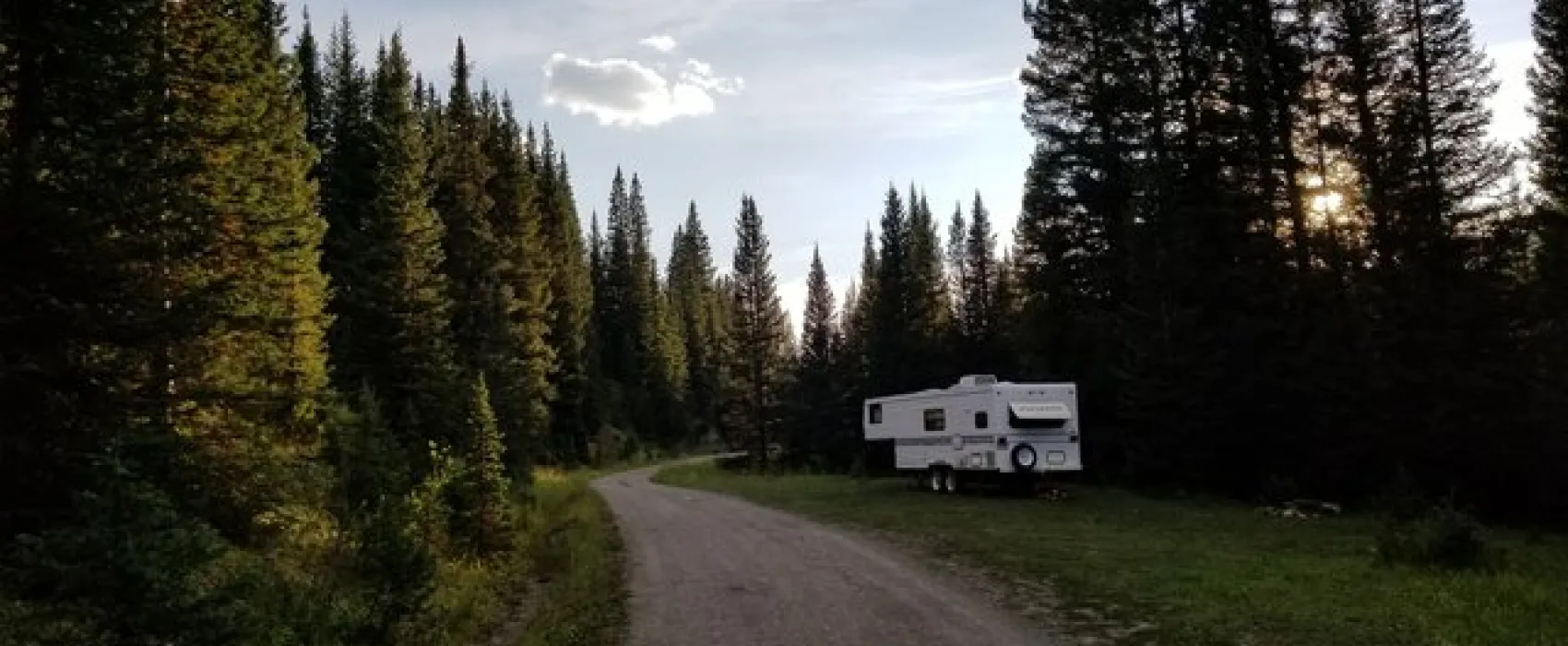 North Trout Lake Road Dispersed Camping