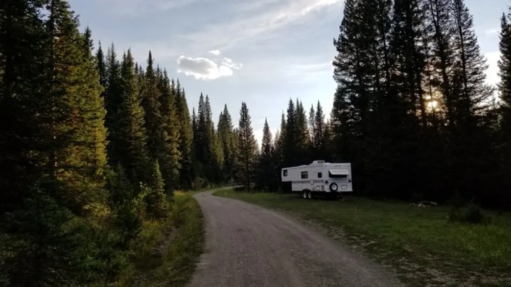 North Trout Lake Road Dispersed Camping